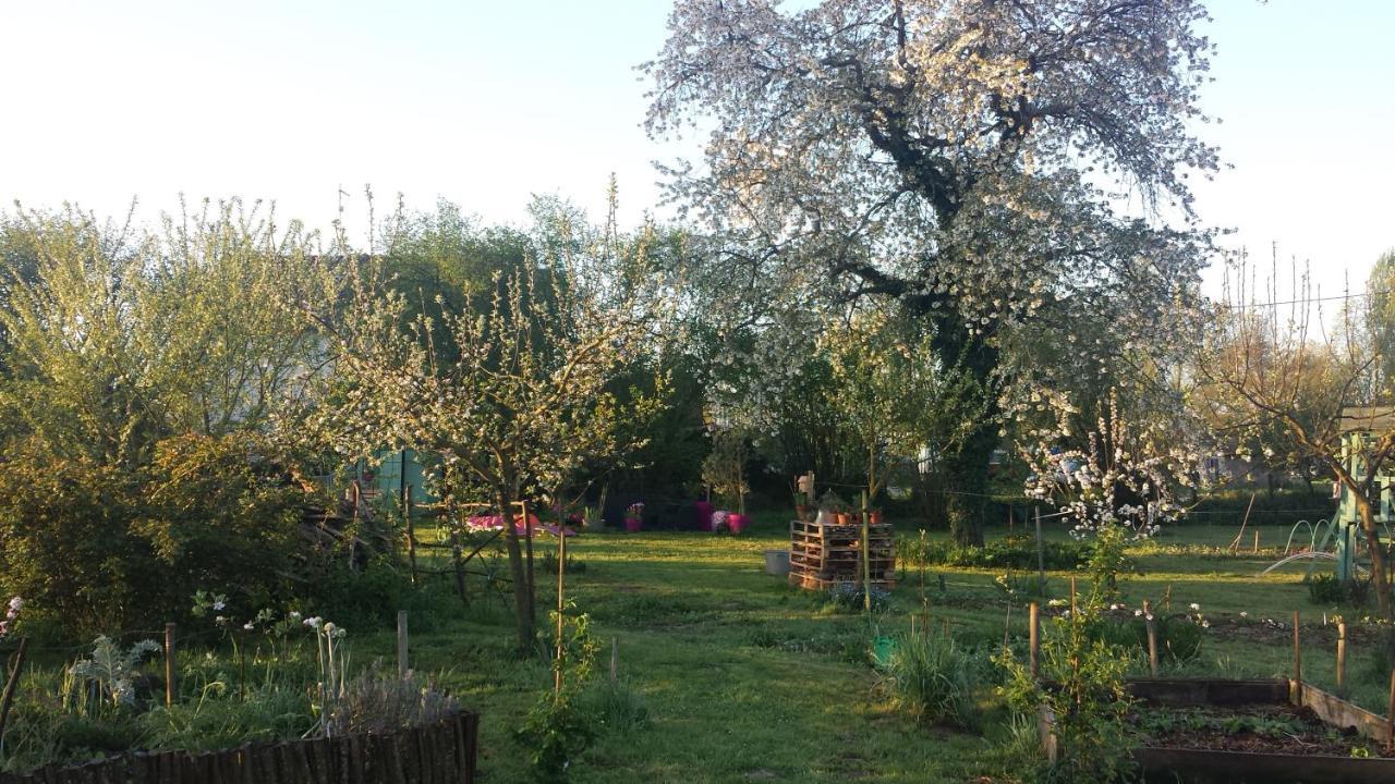 Chambre D'Hotes A La Campagne Nevers Challuy Kültér fotó
