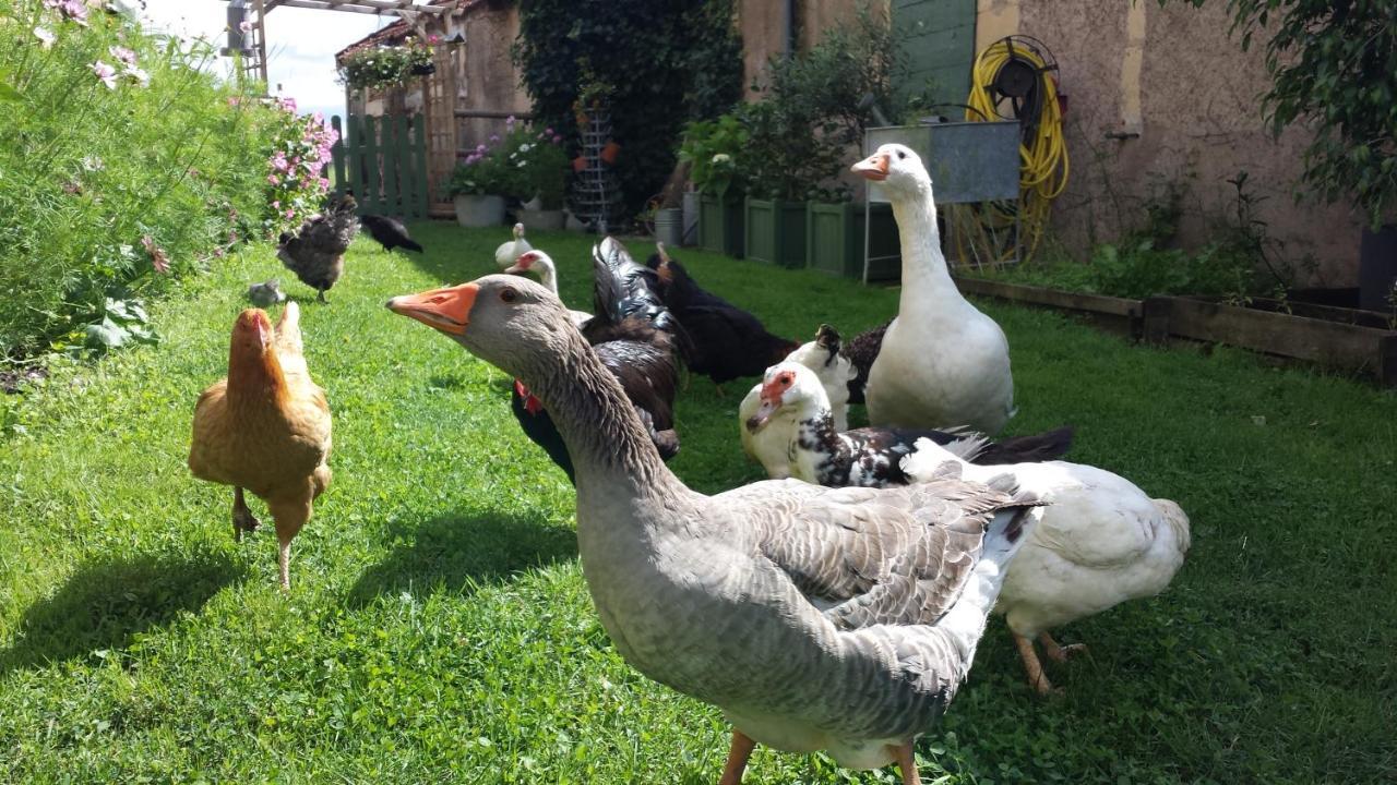Chambre D'Hotes A La Campagne Nevers Challuy Kültér fotó